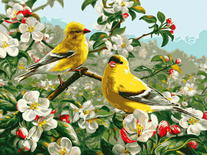 Two Yellow Birds — Serene, Spring