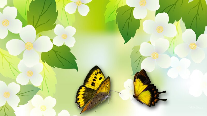 Two Yellow Butterflies — Green, Serene