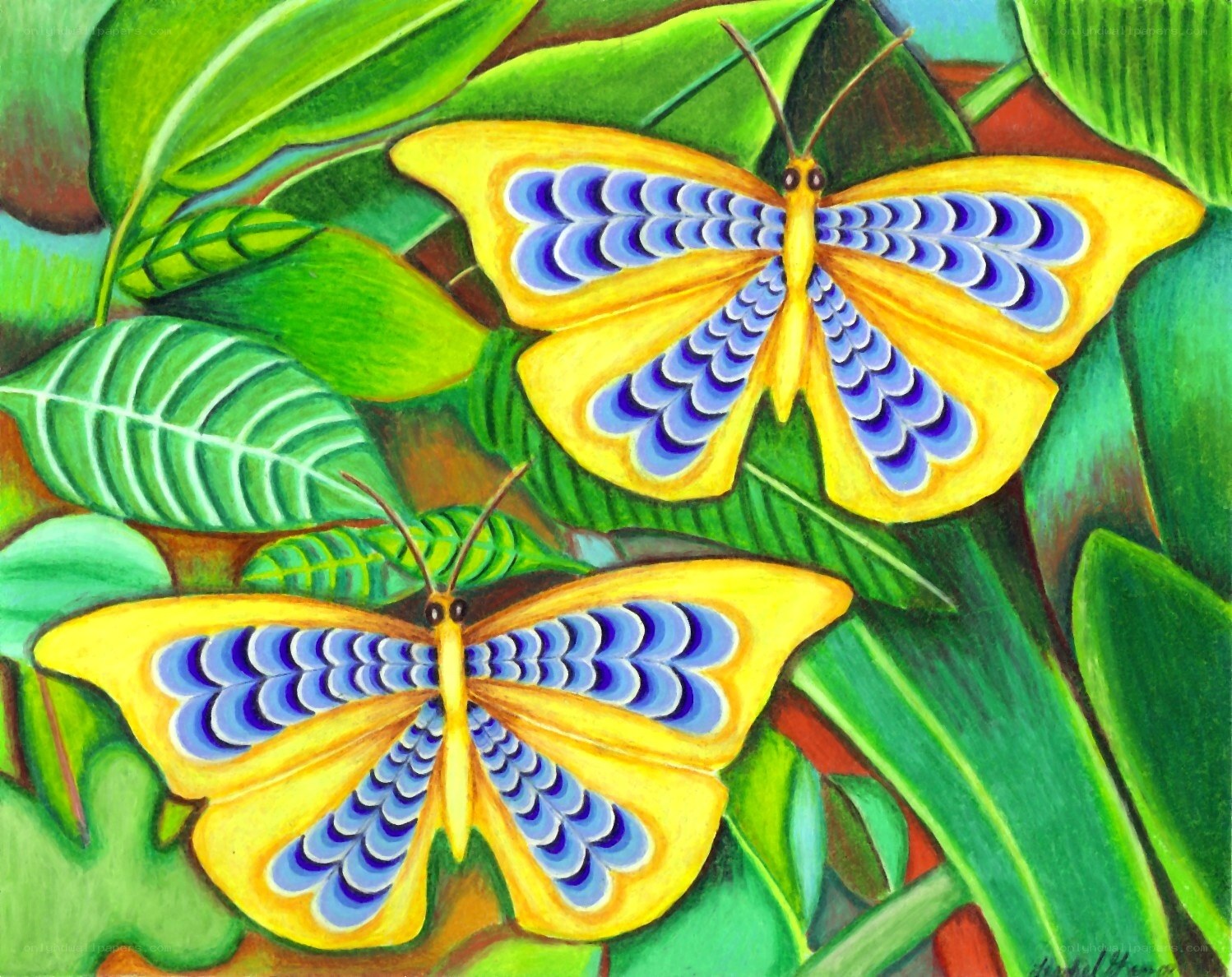 Two yellow butterflies on green leaves