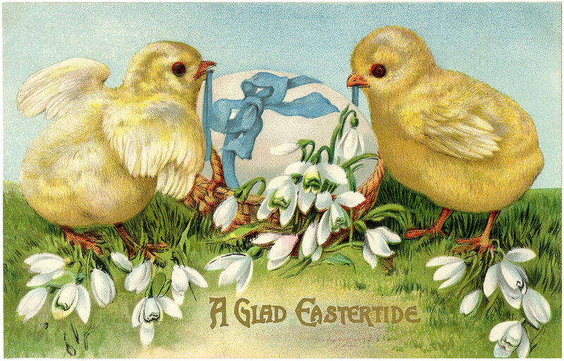 Two Yellow Chicks — Cheerful, Spring, Illustration