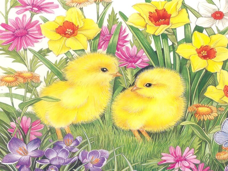 Two Yellow Chicks — Cheerful, Spring