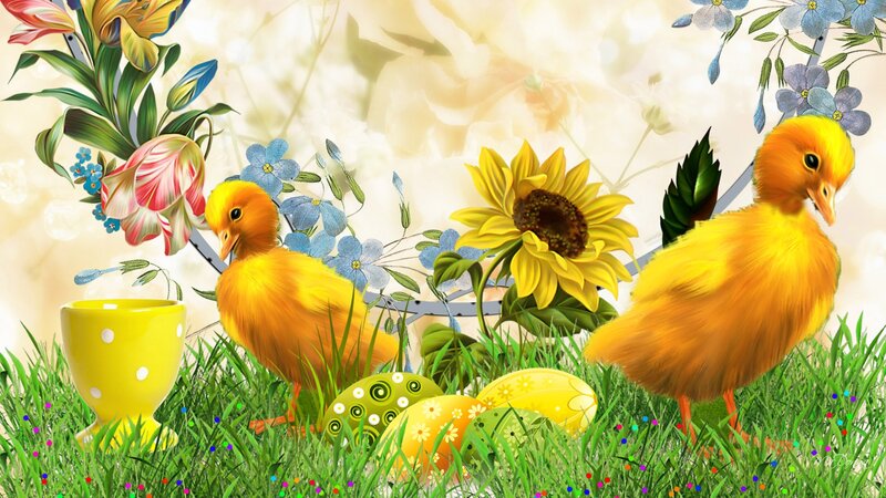 Two Yellow Chicks in Grass