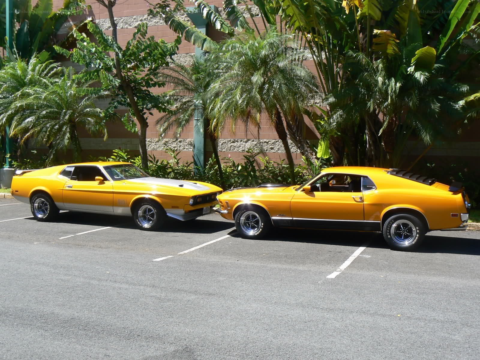 Two yellow classic cars parked