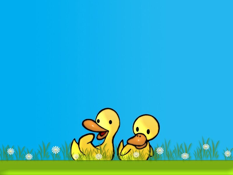 Two Yellow Ducklings