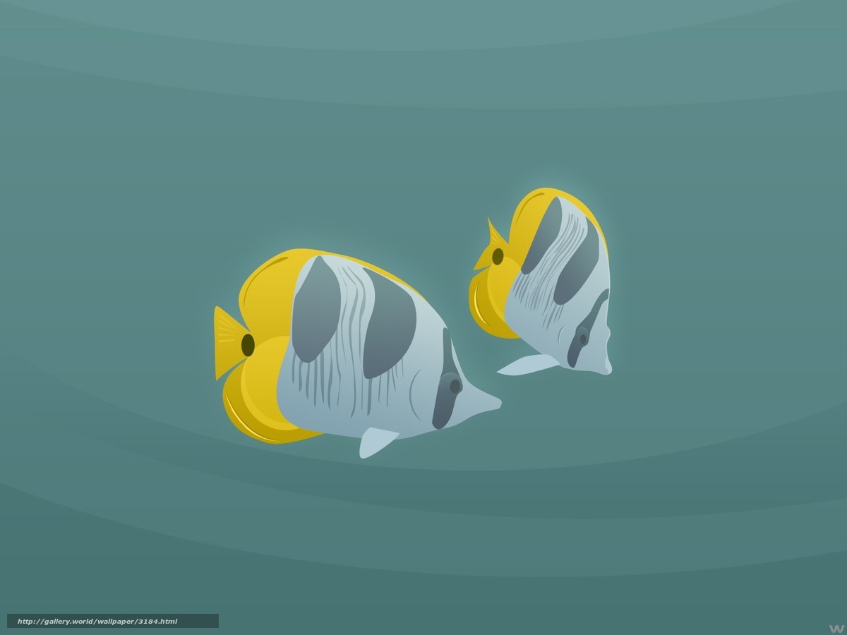 Two yellow fish swimming