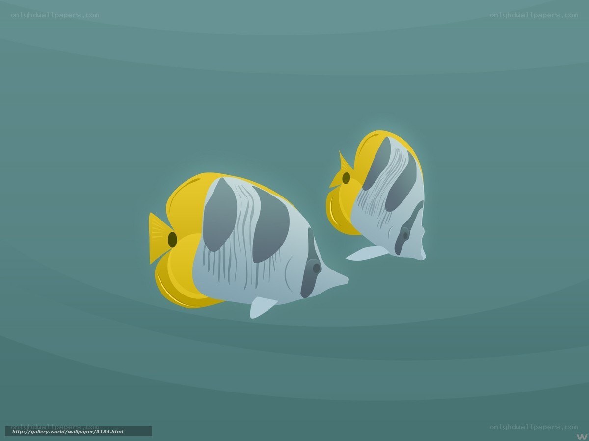 Two yellow fish swimming