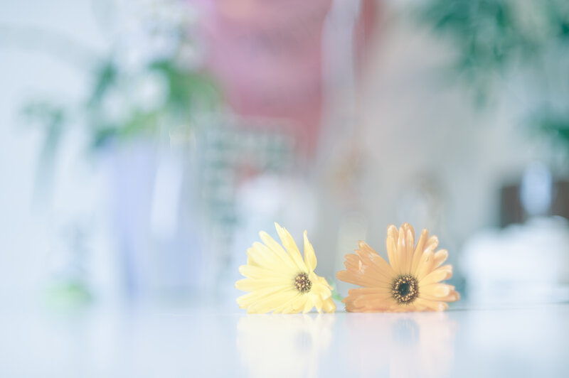 Two Yellow Flowers — Serene