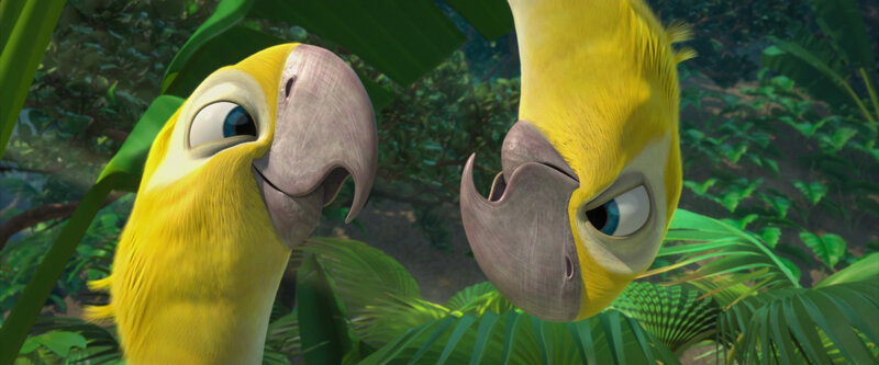 Two Yellow Parrots — Playful