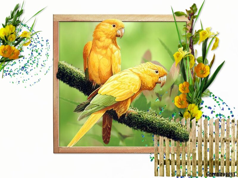 Two Yellow Parrots — Serene, Spring