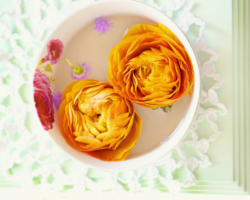 Two Yellow Ranunculus Flowers