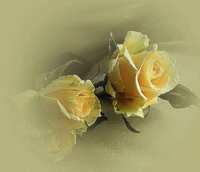 Two Yellow Roses — Calm, Photograph, Leaves, Stem