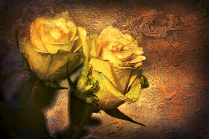 Two Yellow Roses — Dramatic, Painting