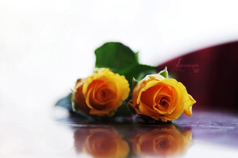 Two Yellow Roses — Serene, Photograph, Green Leaves