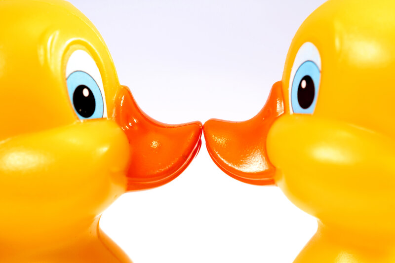 Two Yellow Rubber Ducks