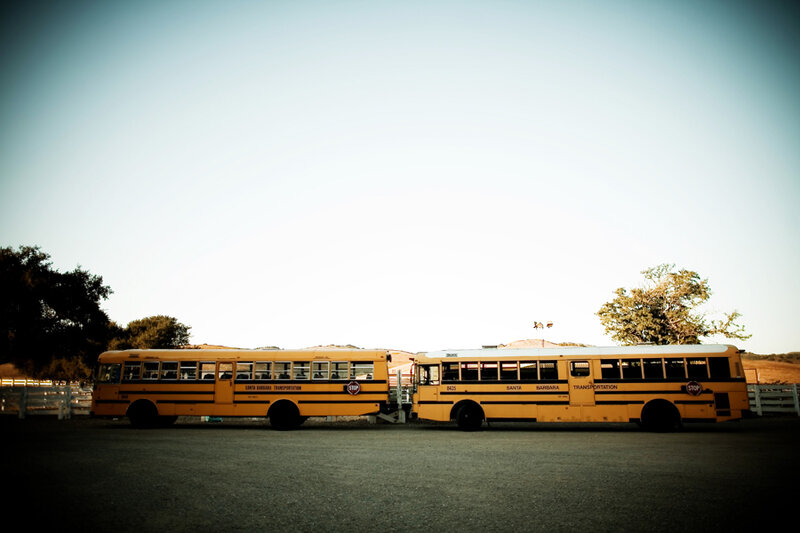 Two Yellow School Buses