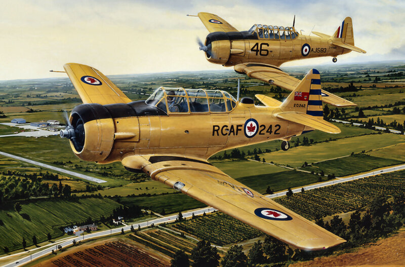 Two Yellow Training Planes