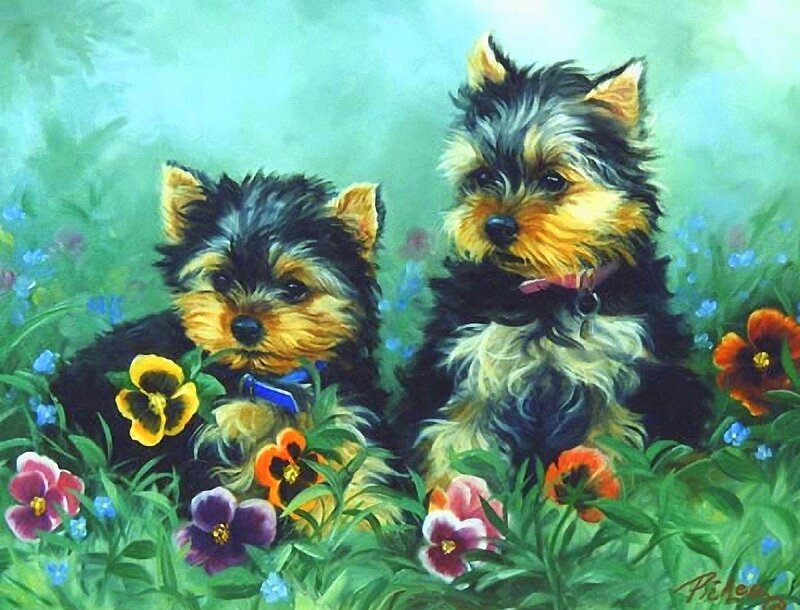 Two Yorkshire Terrier Puppies — Green, Serene