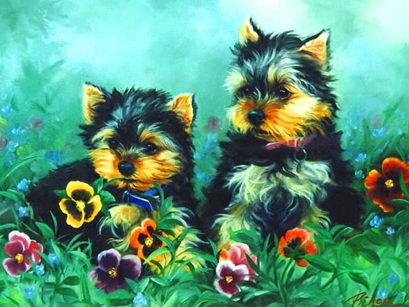 Two Yorkshire Terrier Puppies — Green