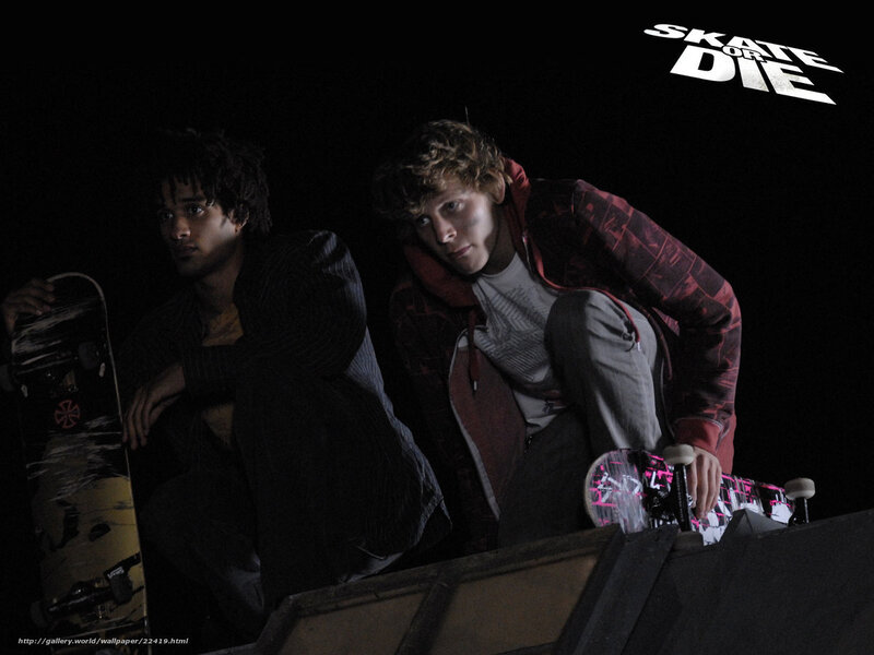 Two Young Men with Skateboards
