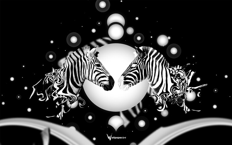 Two Zebras Facing Each Other — Black