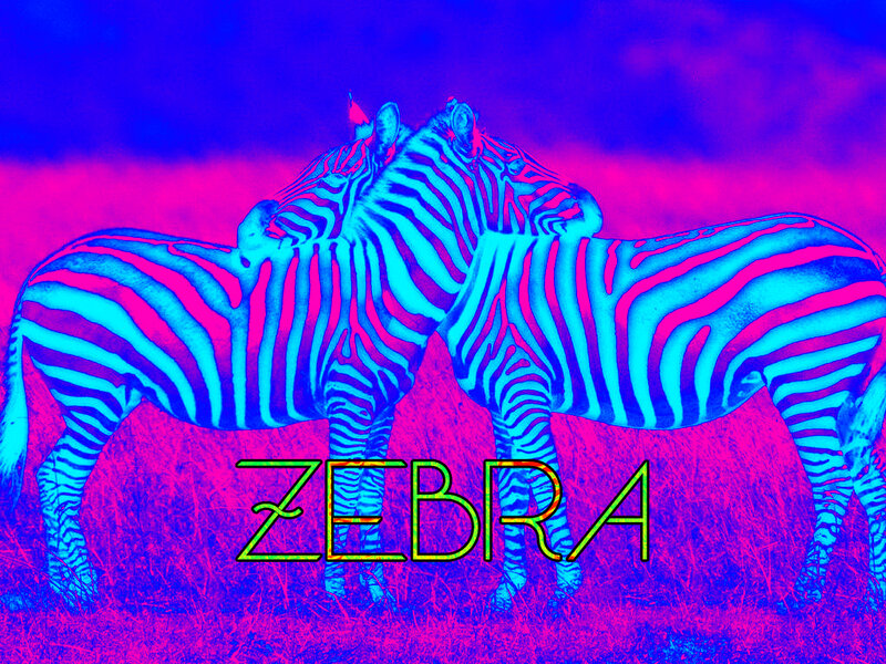Two Zebras in Grass — Blue, Vibrant