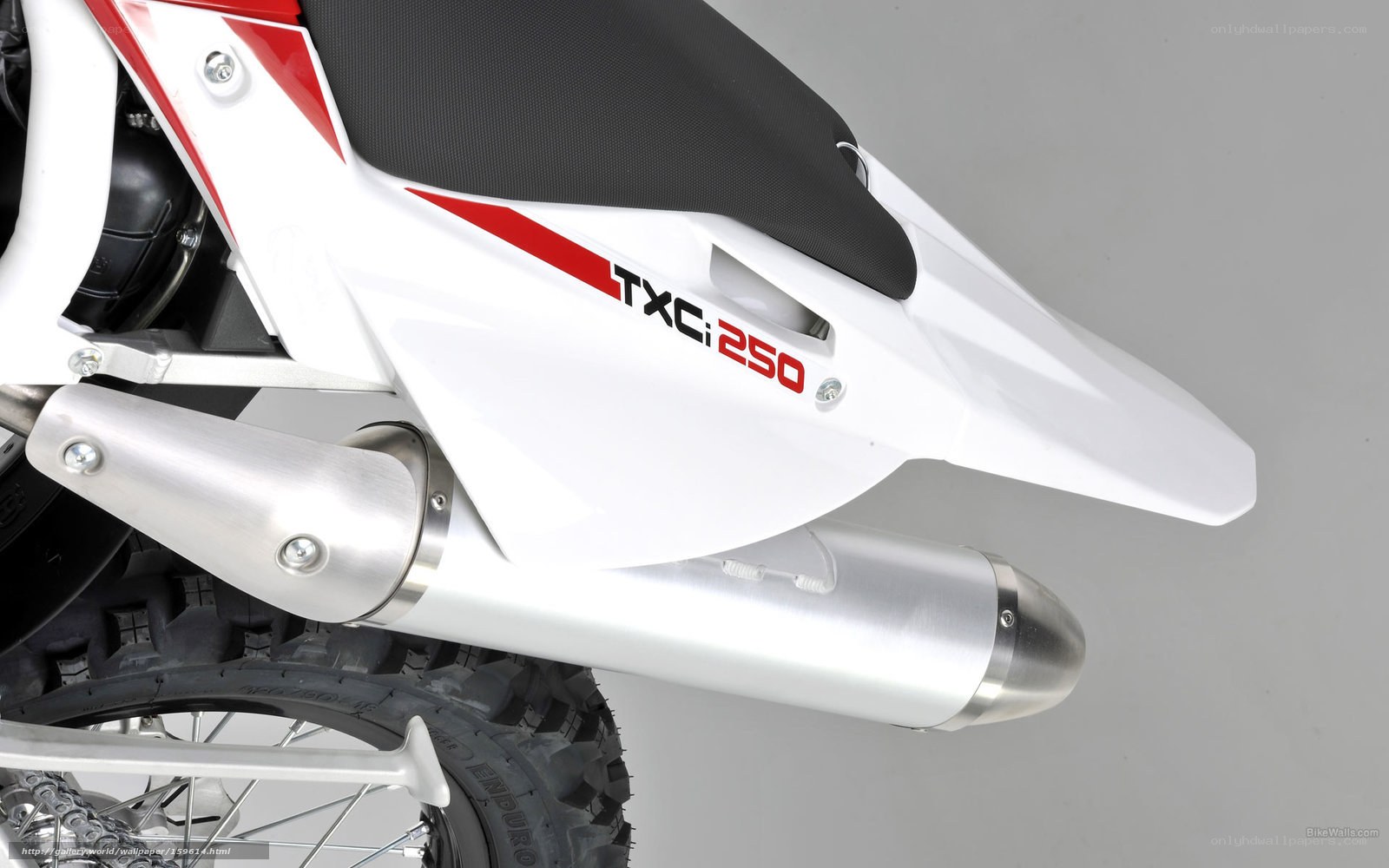 TXC 250 motorcycle rear
