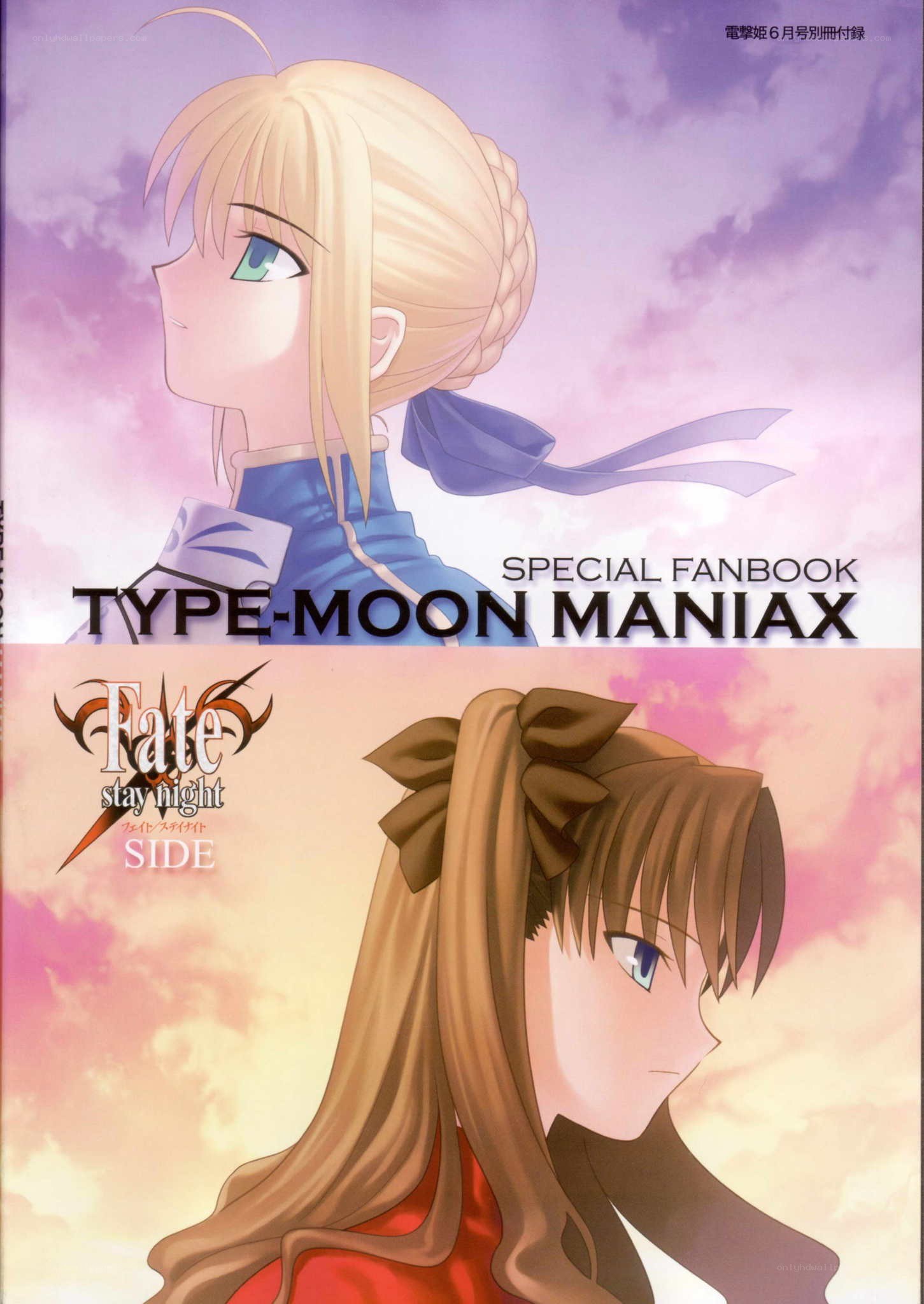 Type-Moon Maniax special fanbook
