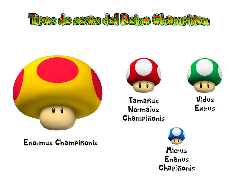 Types of Mushroom Species