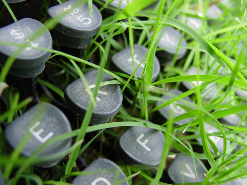 typewriter keys in grass
