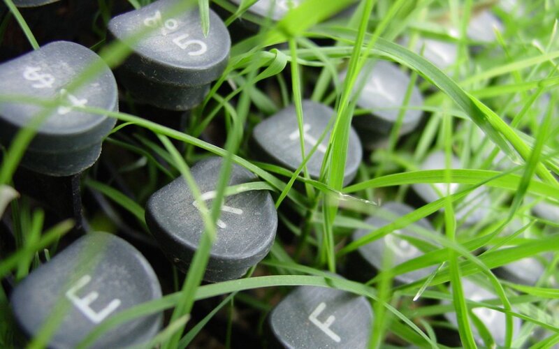 typewriter keys in grass