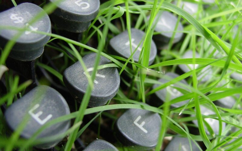typewriter keys in grass