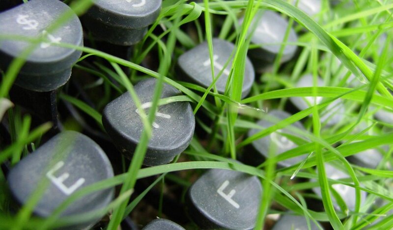 Typewriter Keys in Grass — Green, Natural, Photograph