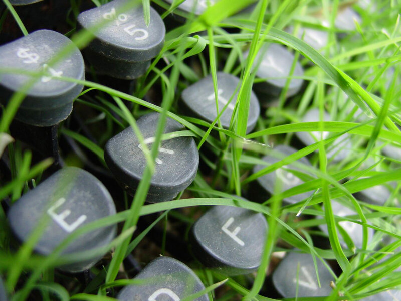 Typewriter Keys in Grass — Green