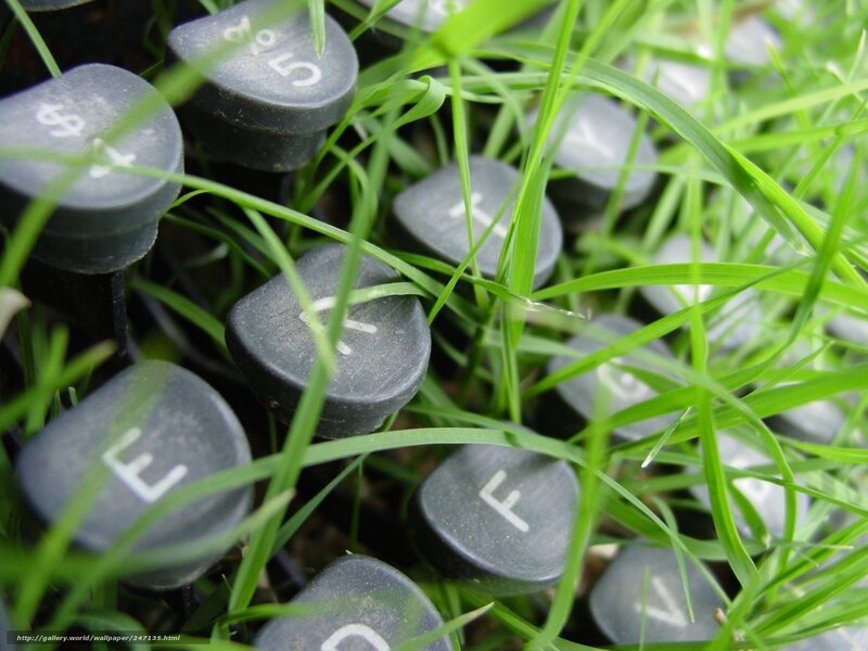 typewriter keys in grass