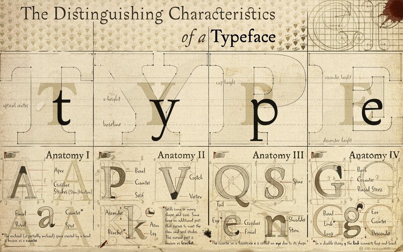Typography Anatomy Chart
