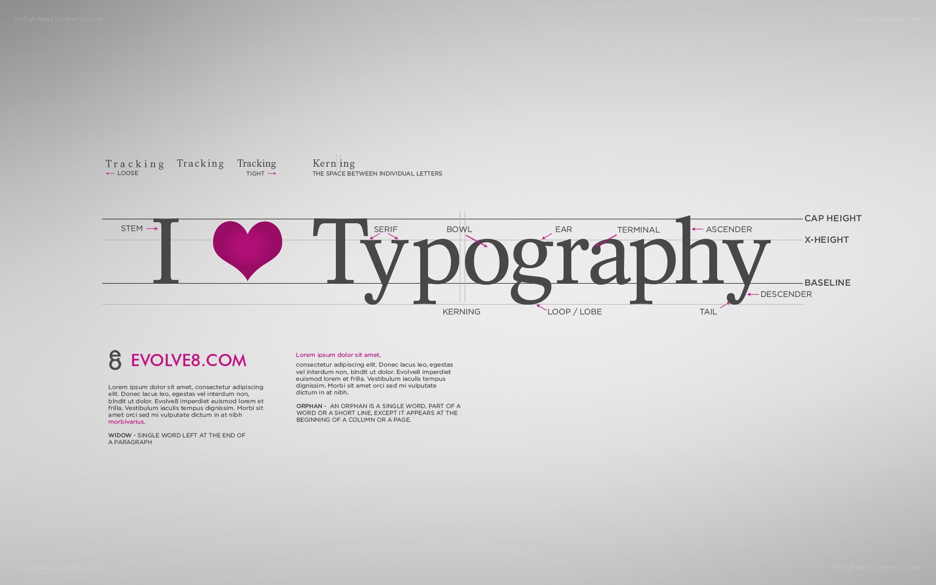 Typography guide with letter anatomy