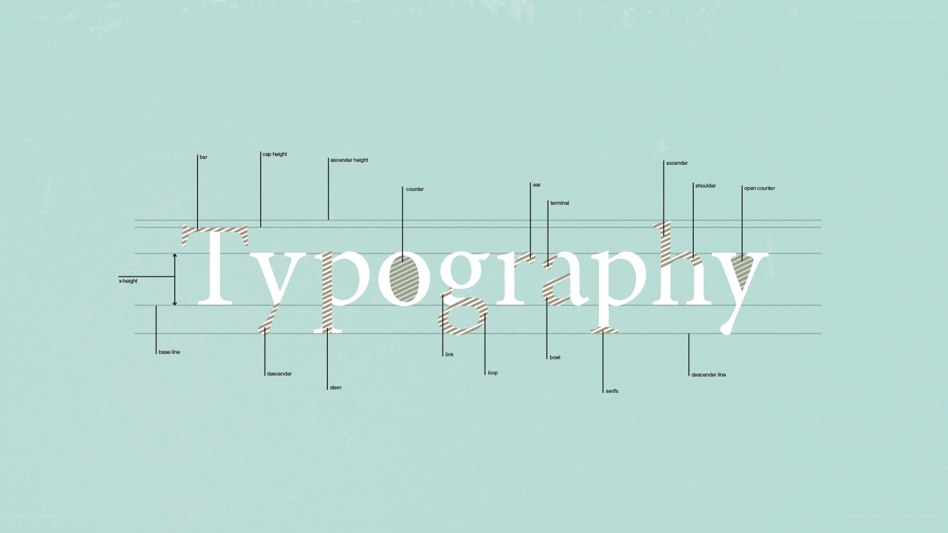 typography terms diagram