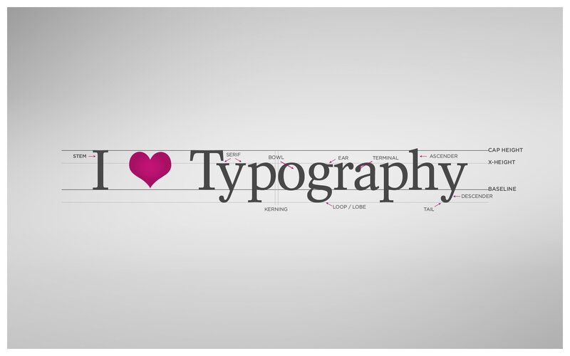 Typography Terms Diagram — Gray, Educational