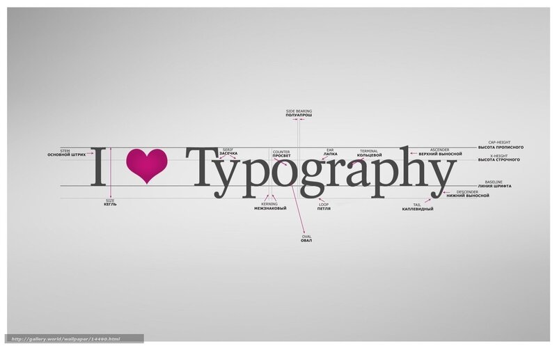 Typography terms diagram