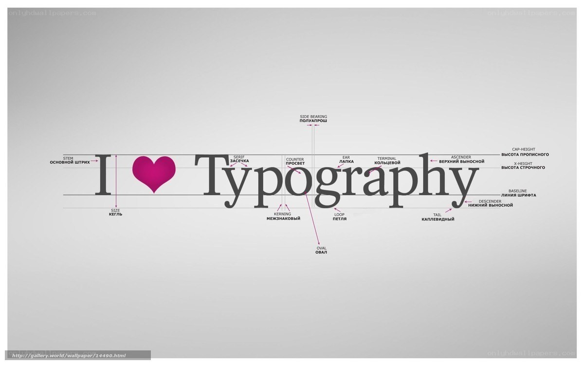 Typography terms diagram