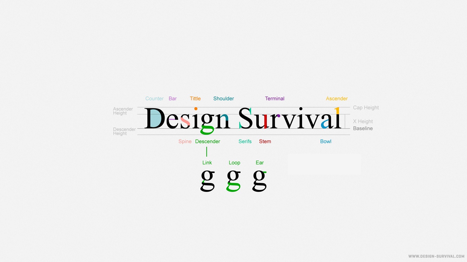 Typography terms explained