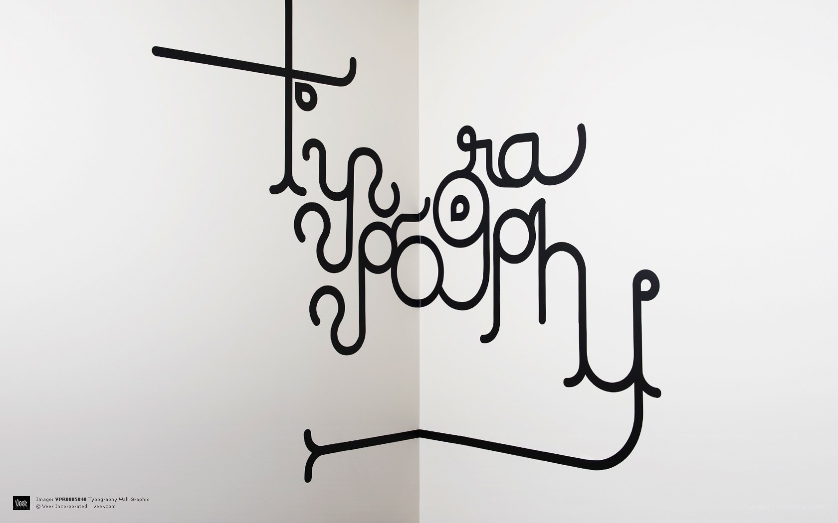 Typography wall graphic