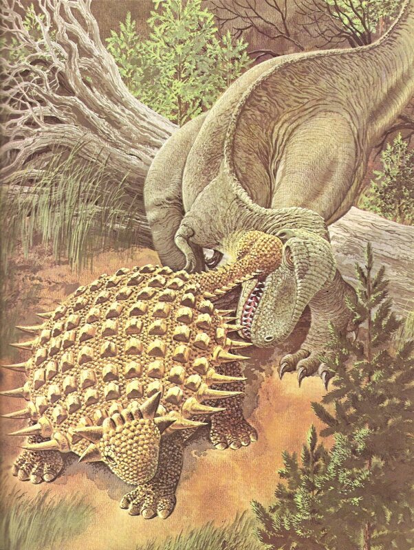 Tyrannosaurus attacks ankylosaur