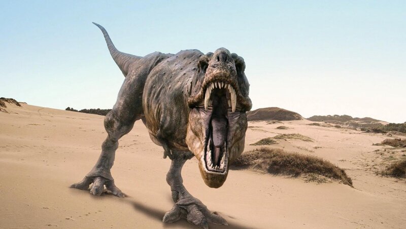 Tyrannosaurus Rex — Brown