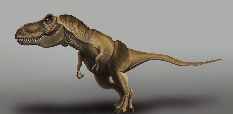 Tyrannosaurus Rex Dinosaur — Brown