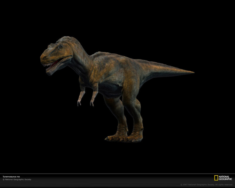 Tyrannosaurus Rex Dinosaur