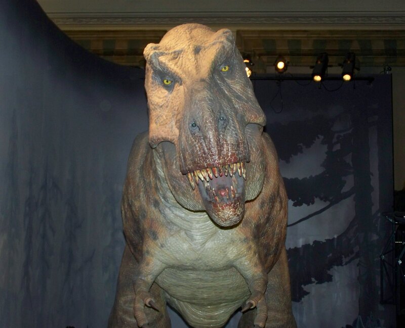 Tyrannosaurus rex exhibit