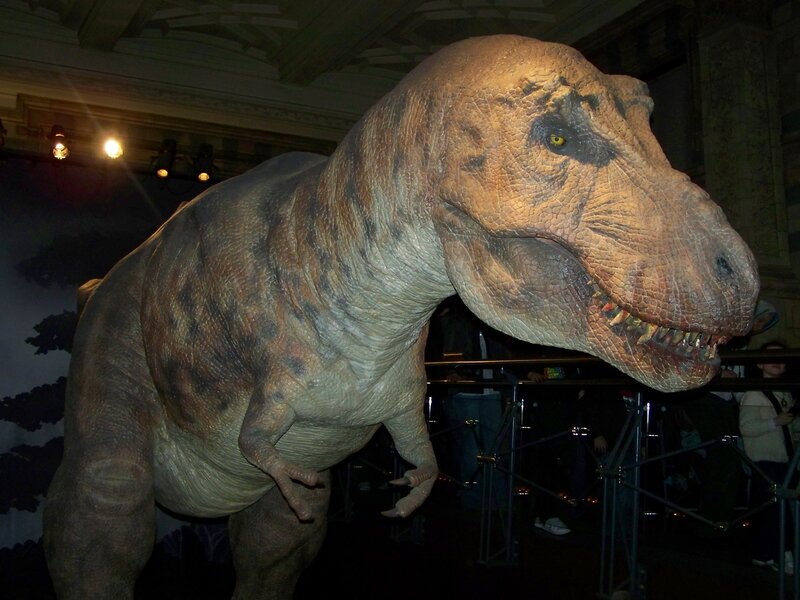 Tyrannosaurus rex exhibit