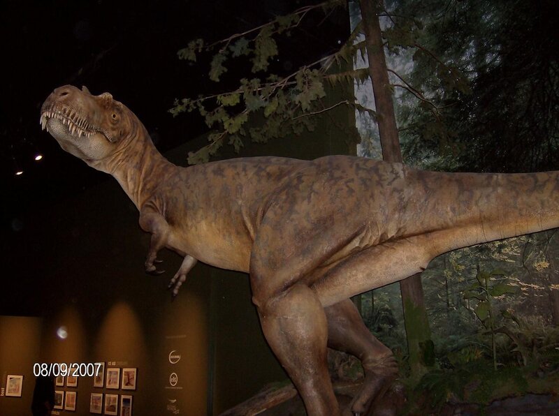 Tyrannosaurus rex exhibit