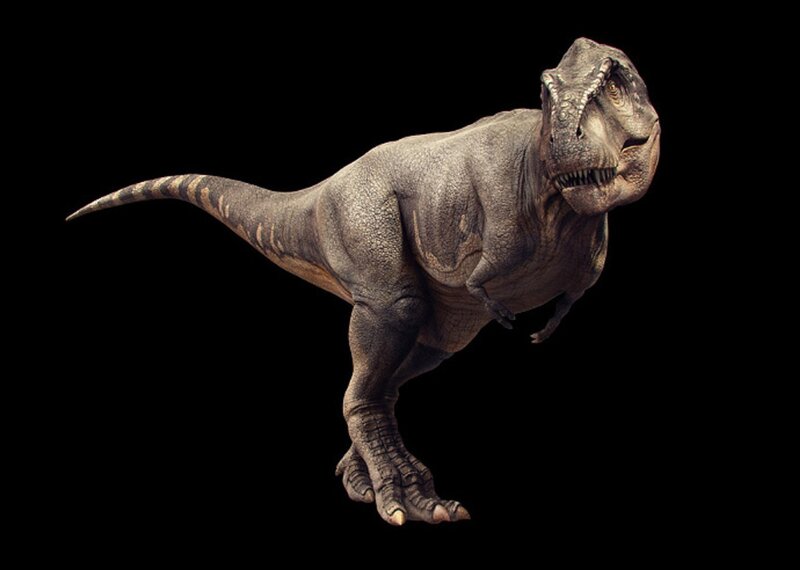 Tyrannosaurus Rex — Gray, Dramatic, 3d Render, Dinosaur, Tail